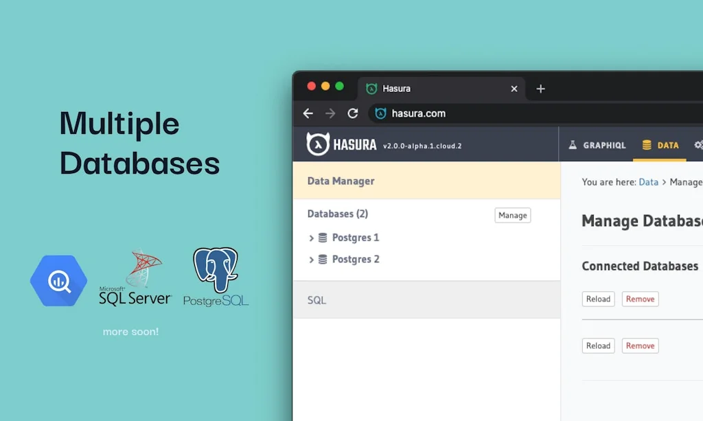 Hasura screenshot 1 of 3