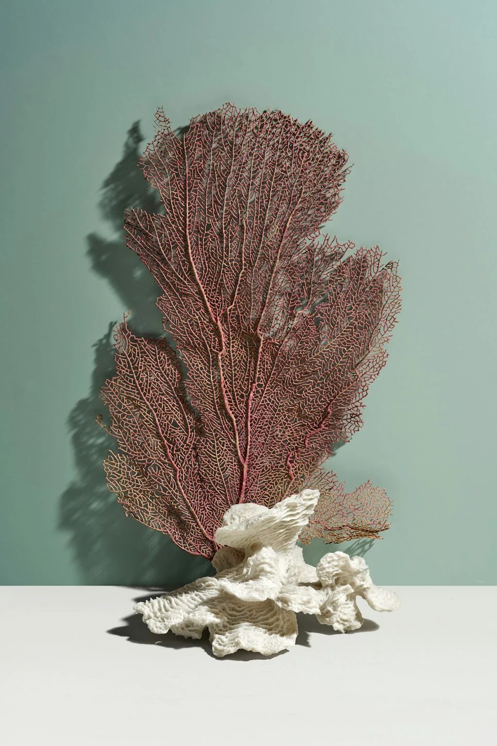 Hers screenshot 6 of 19