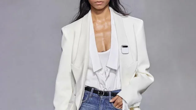 Humane AI pin screenshot 5 of 5