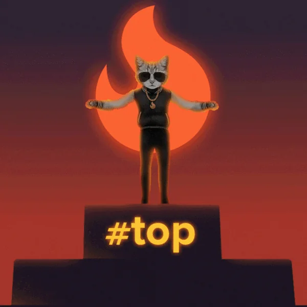 HypeAuditor - Instagram Analytics tool logo