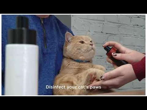 IOON screenshot 1 of 5