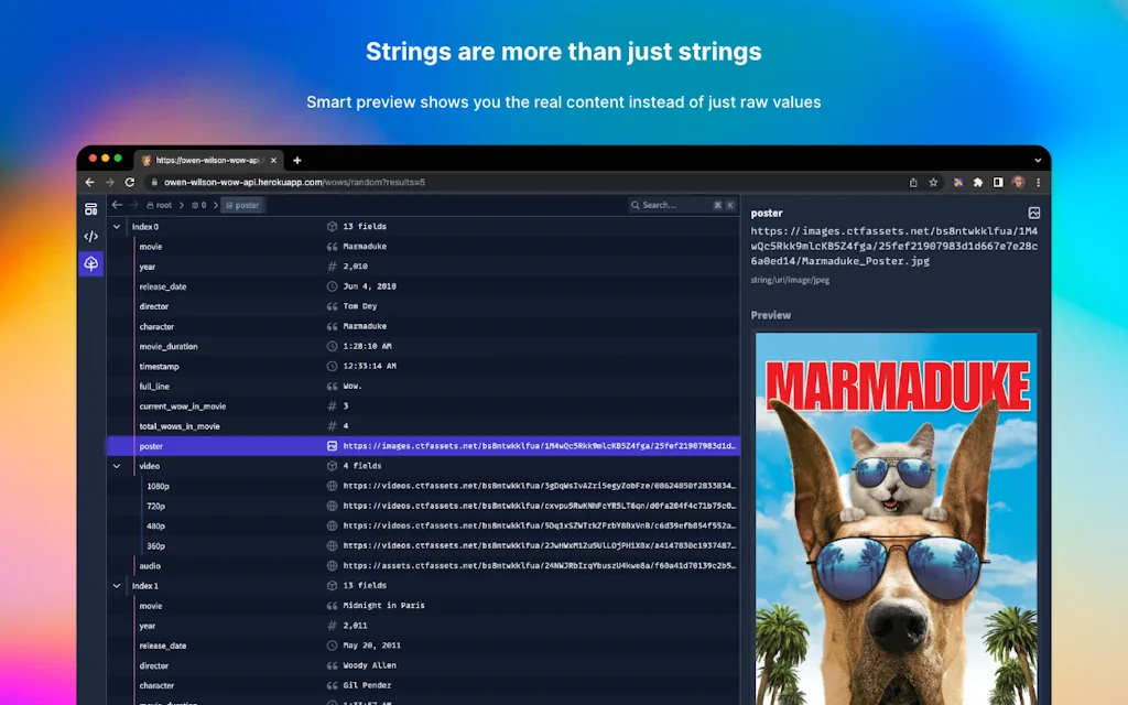 JSON Hero Chrome extension screenshot 3 of 5