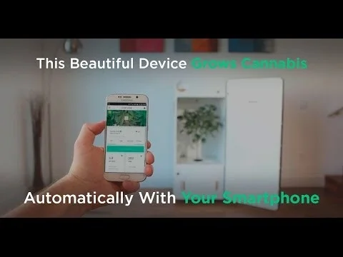 Leaf Grow screenshot 2 of 8