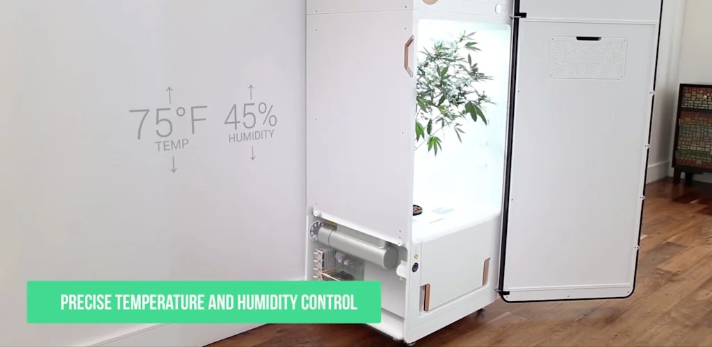 Leaf Grow screenshot 3 of 8