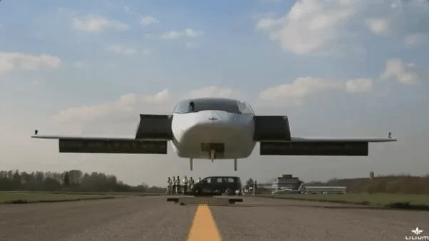 Lilium screenshot 2 of 7