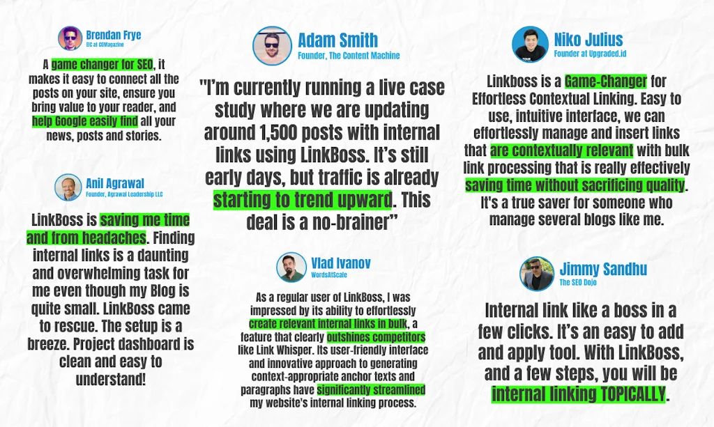 LinkBoss: AI-Powered Interlinking Tool screenshot 8 of 8