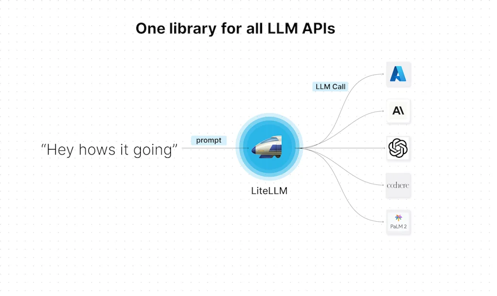 liteLLM screenshot 1 of 3