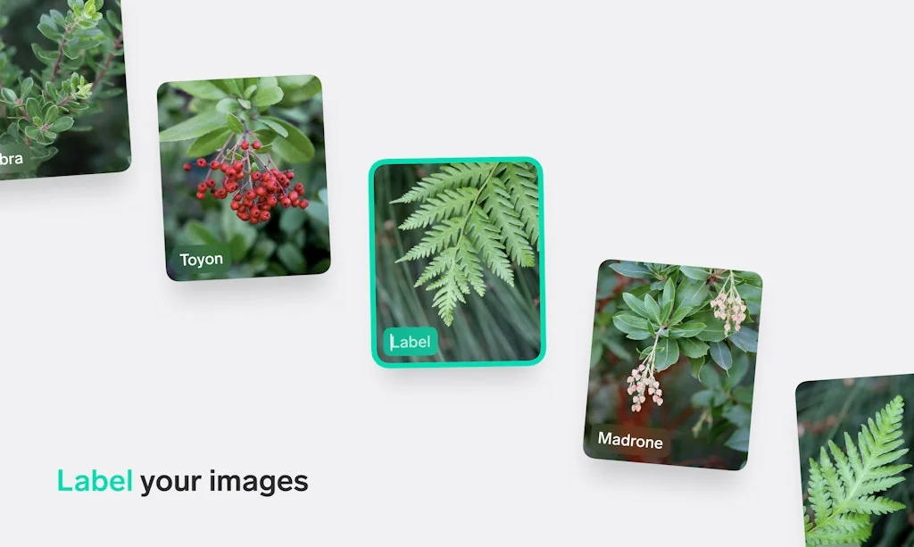 Lobe screenshot 3 of 8