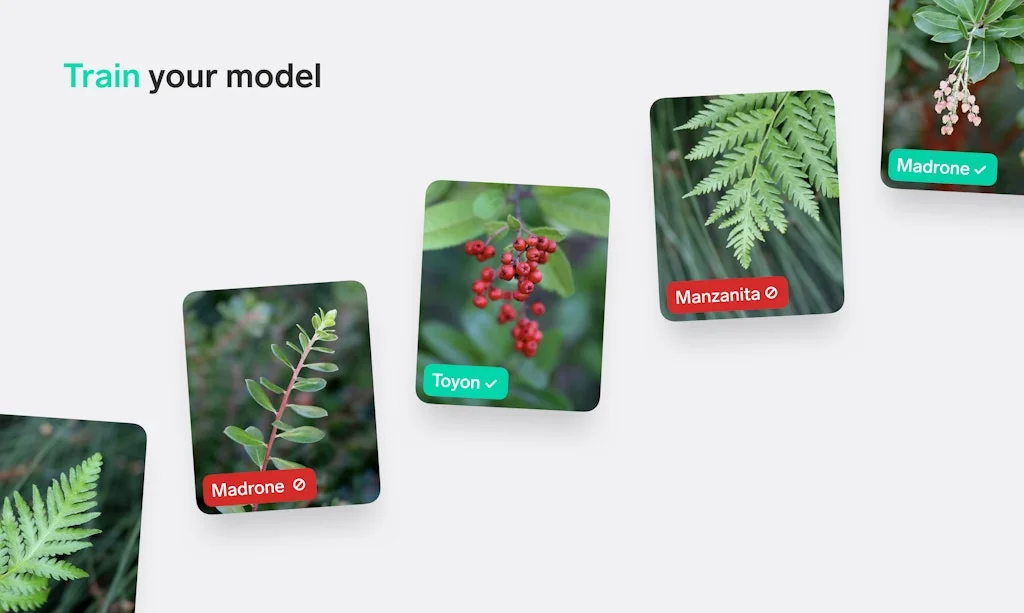 Lobe screenshot 4 of 8