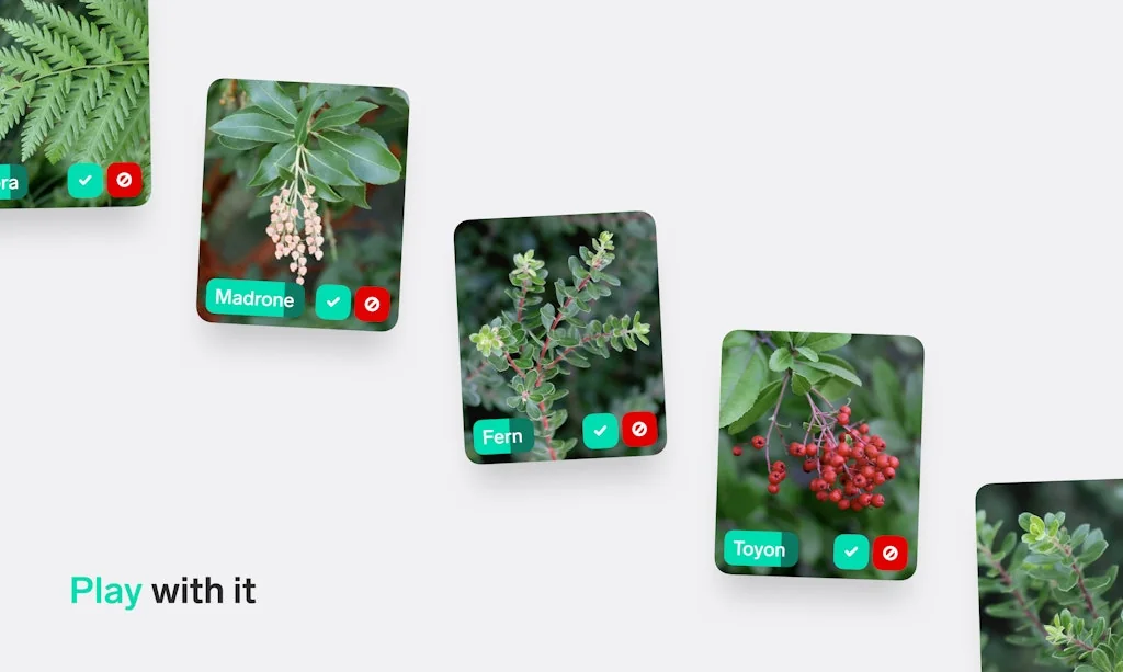 Lobe screenshot 5 of 8