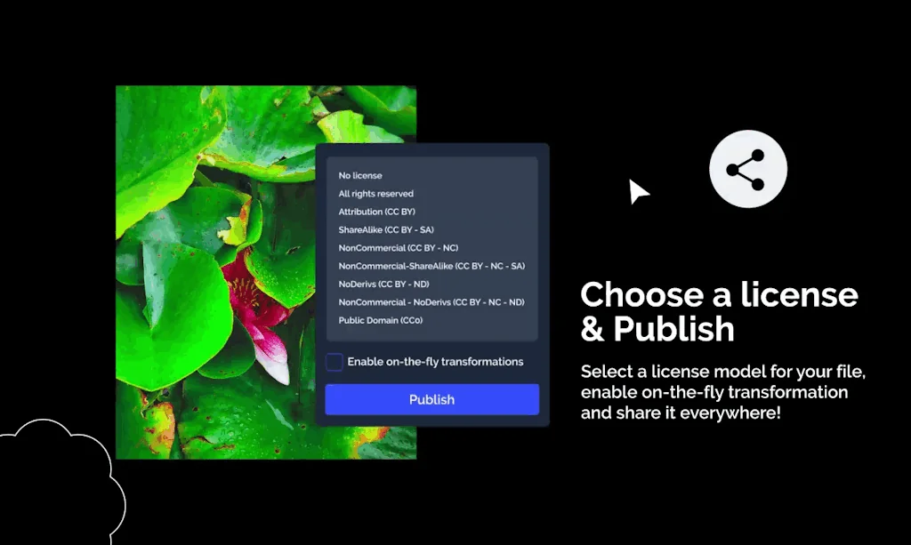 Macula screenshot 1 of 3