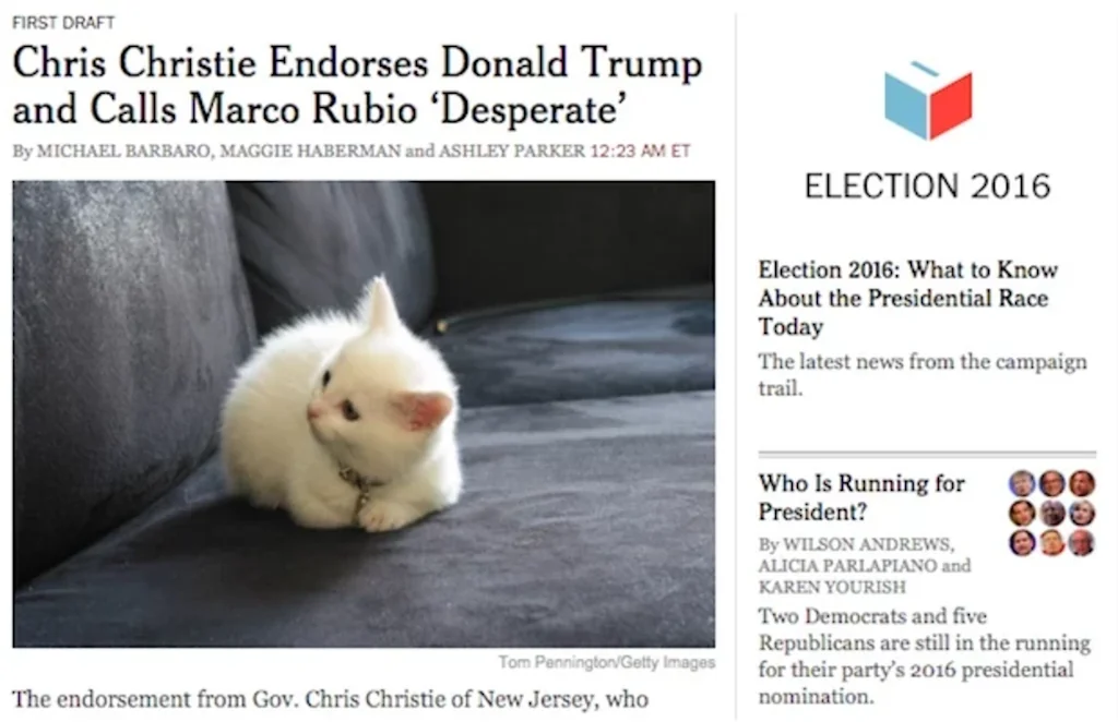 Make America Kittens Again screenshot 1 of 2