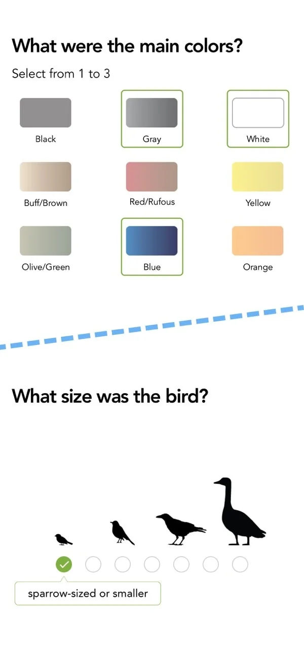 Merlin Bird ID screenshot 10 of 12