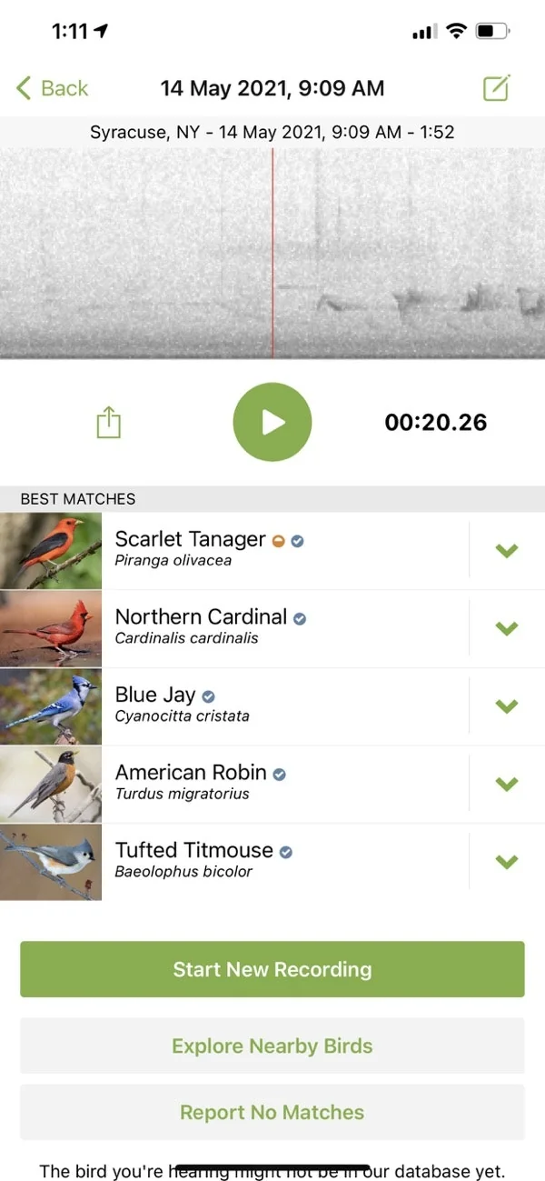 Merlin Bird ID screenshot 5 of 12