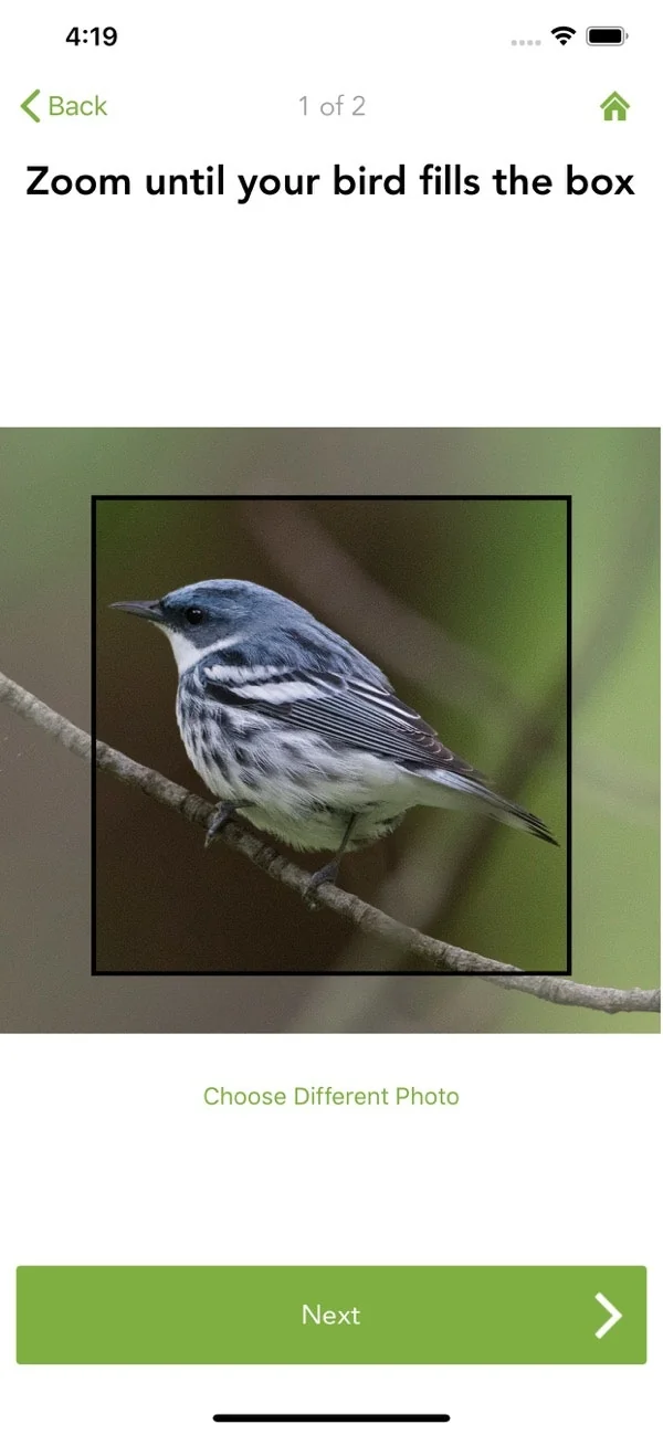 Merlin Bird ID screenshot 9 of 12