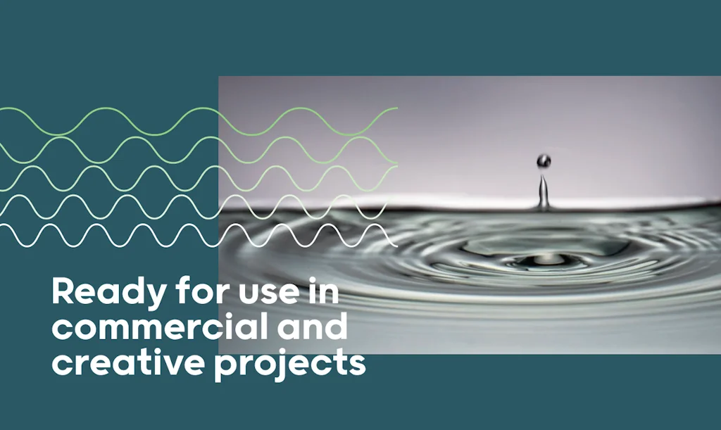 mixkit_co screenshot 3 of 4