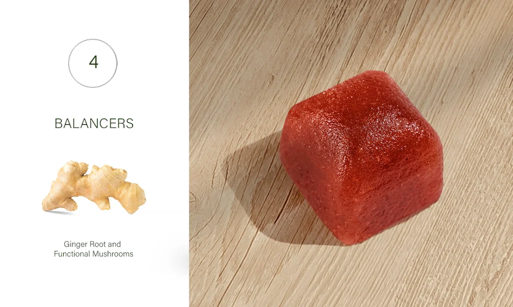 Mojo screenshot 7 of 11