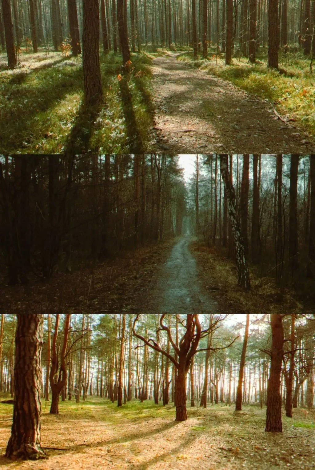 mood.camera screenshot 11 of 13