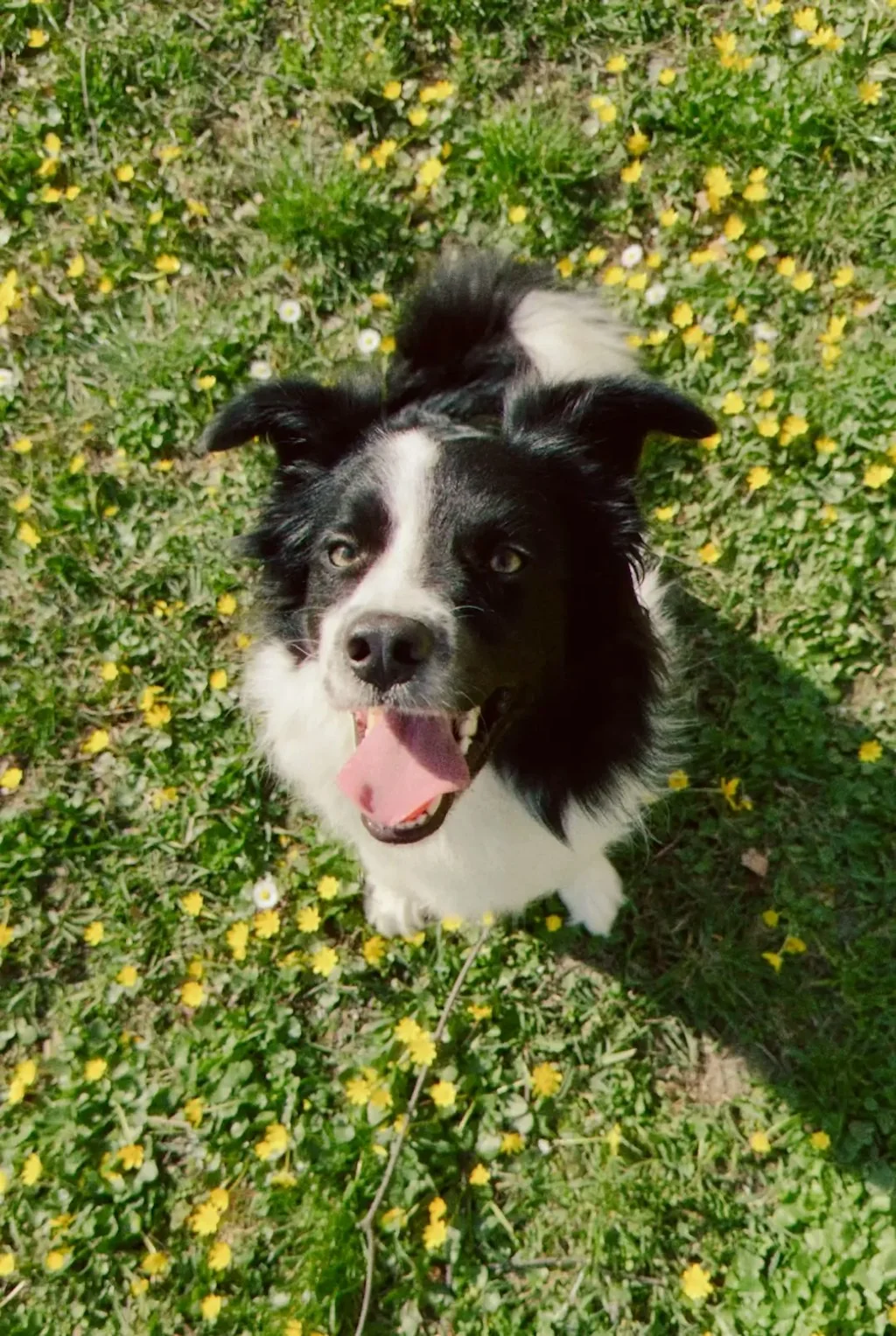 mood.camera screenshot 12 of 13