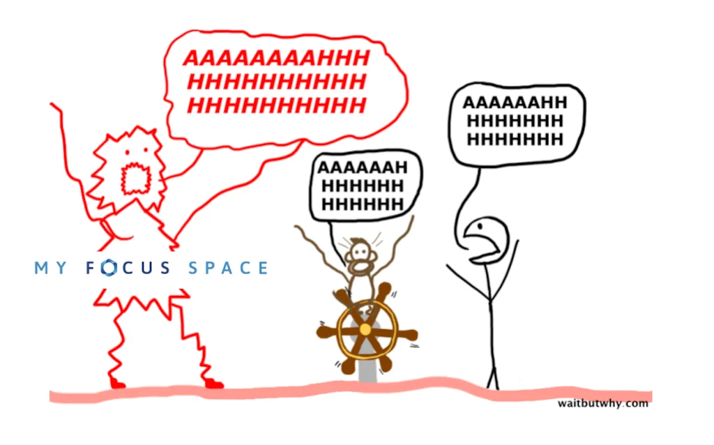 MyFocusSpace screenshot 9 of 9