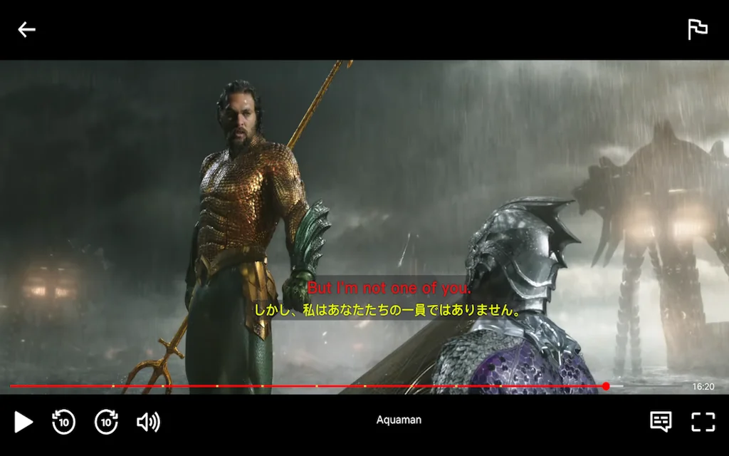 Netflix Subtitle Translator screenshot 2 of 4