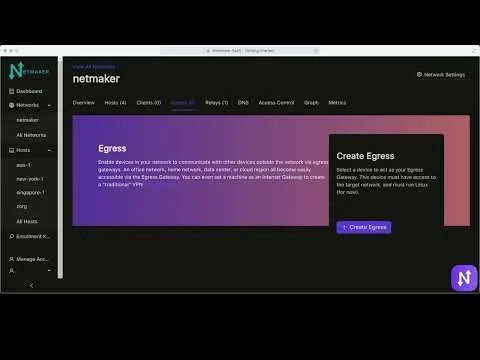 Netmaker screenshot 2 of 5