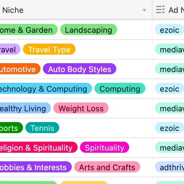 Niche Site Metrics logo