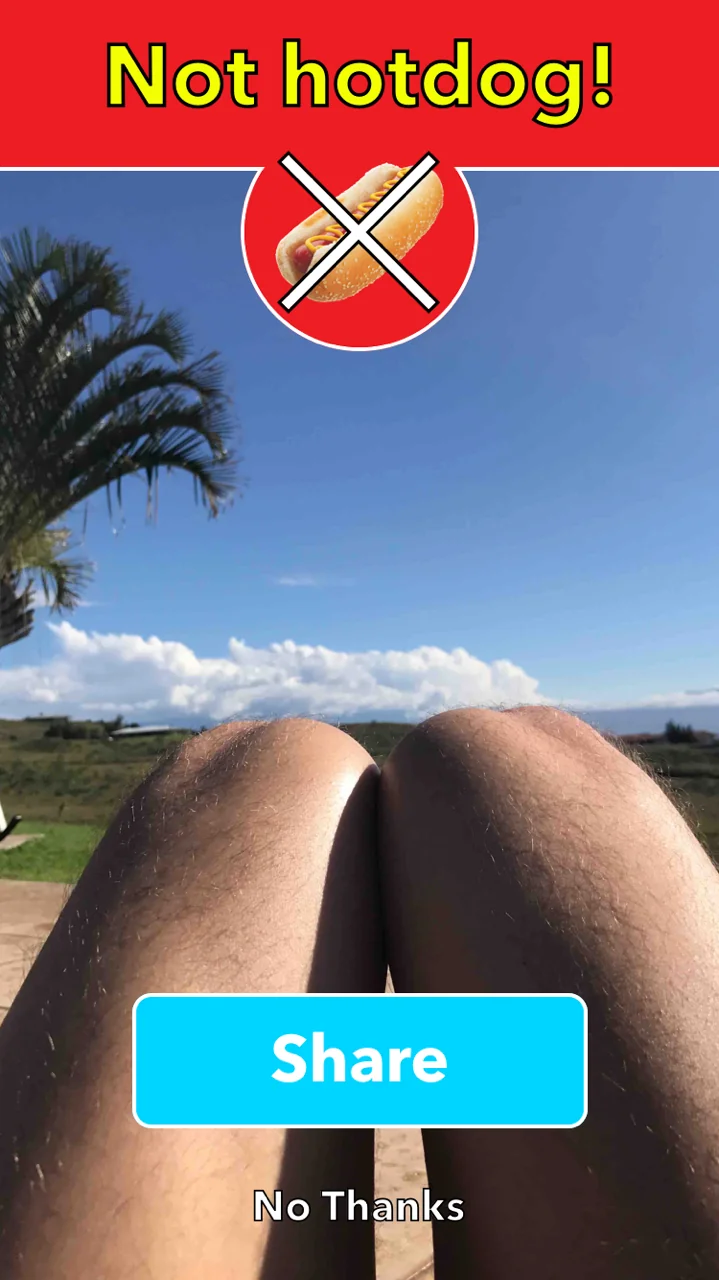 Not Hotdog screenshot 3 of 6