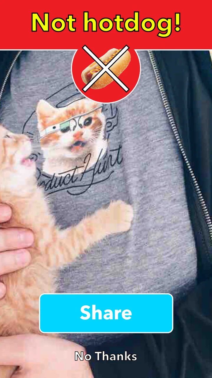 Not Hotdog screenshot 4 of 6