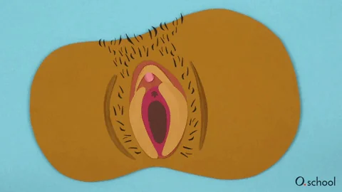 O.school screenshot 5 of 5