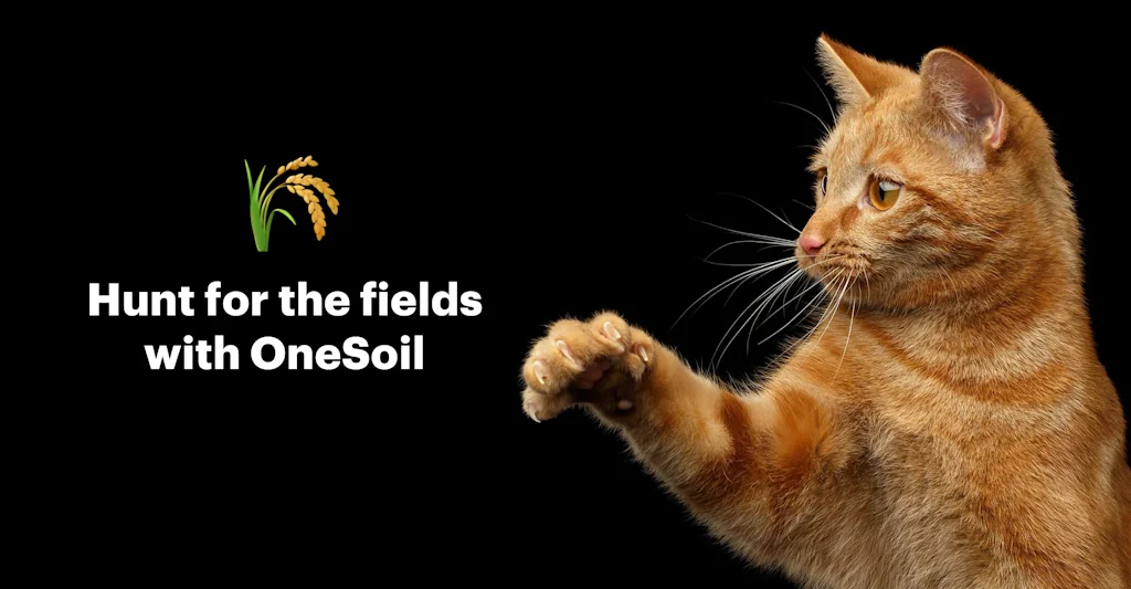 OneSoil screenshot 2 of 6