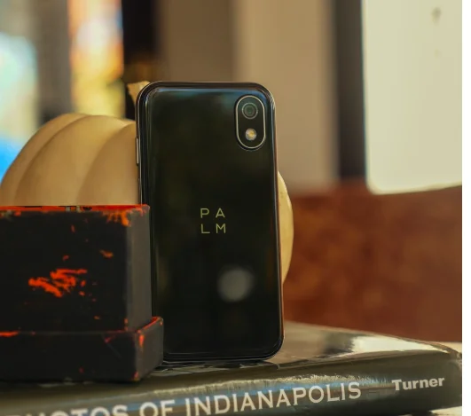 Palm screenshot 4 of 8