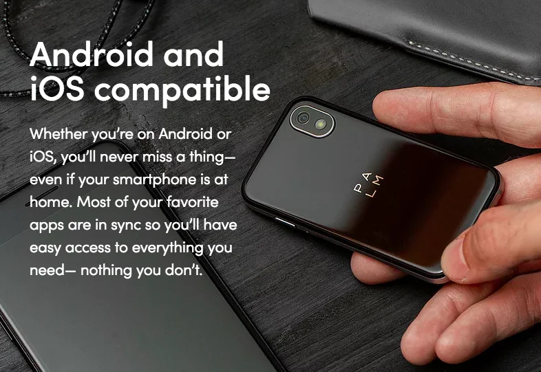 Palm screenshot 5 of 8