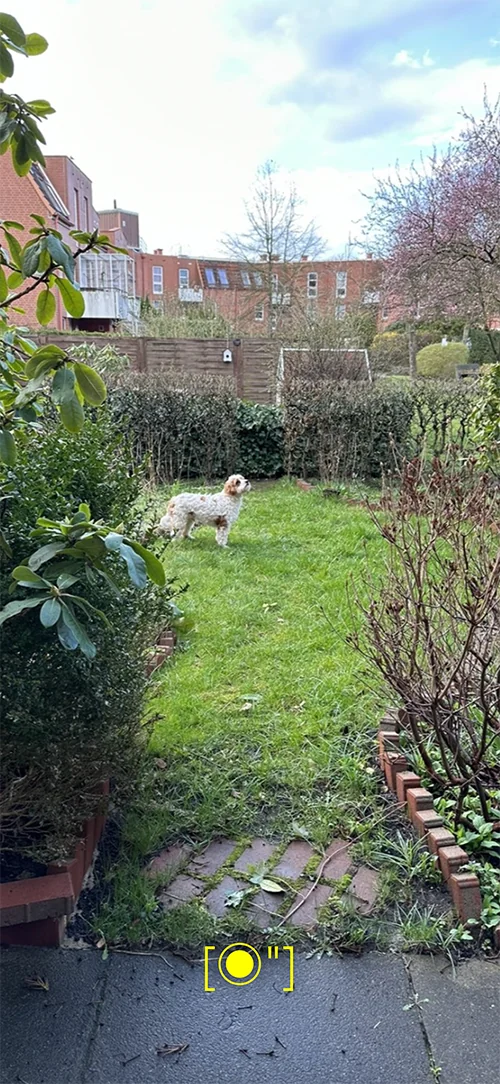 Pamera - The Poem Camera screenshot 4 of 5