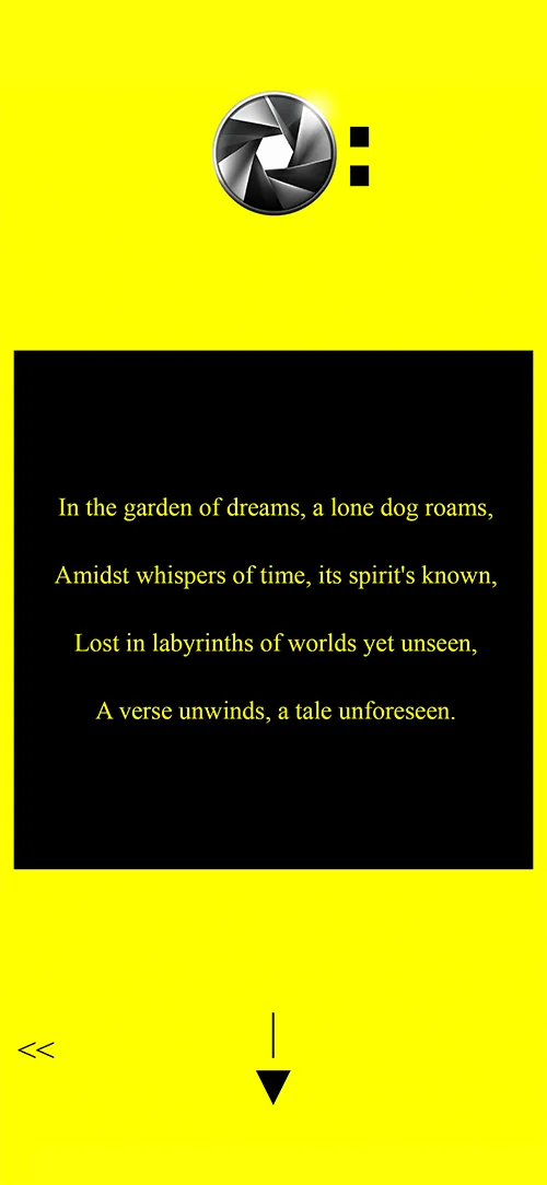 Pamera - The Poem Camera screenshot 5 of 5