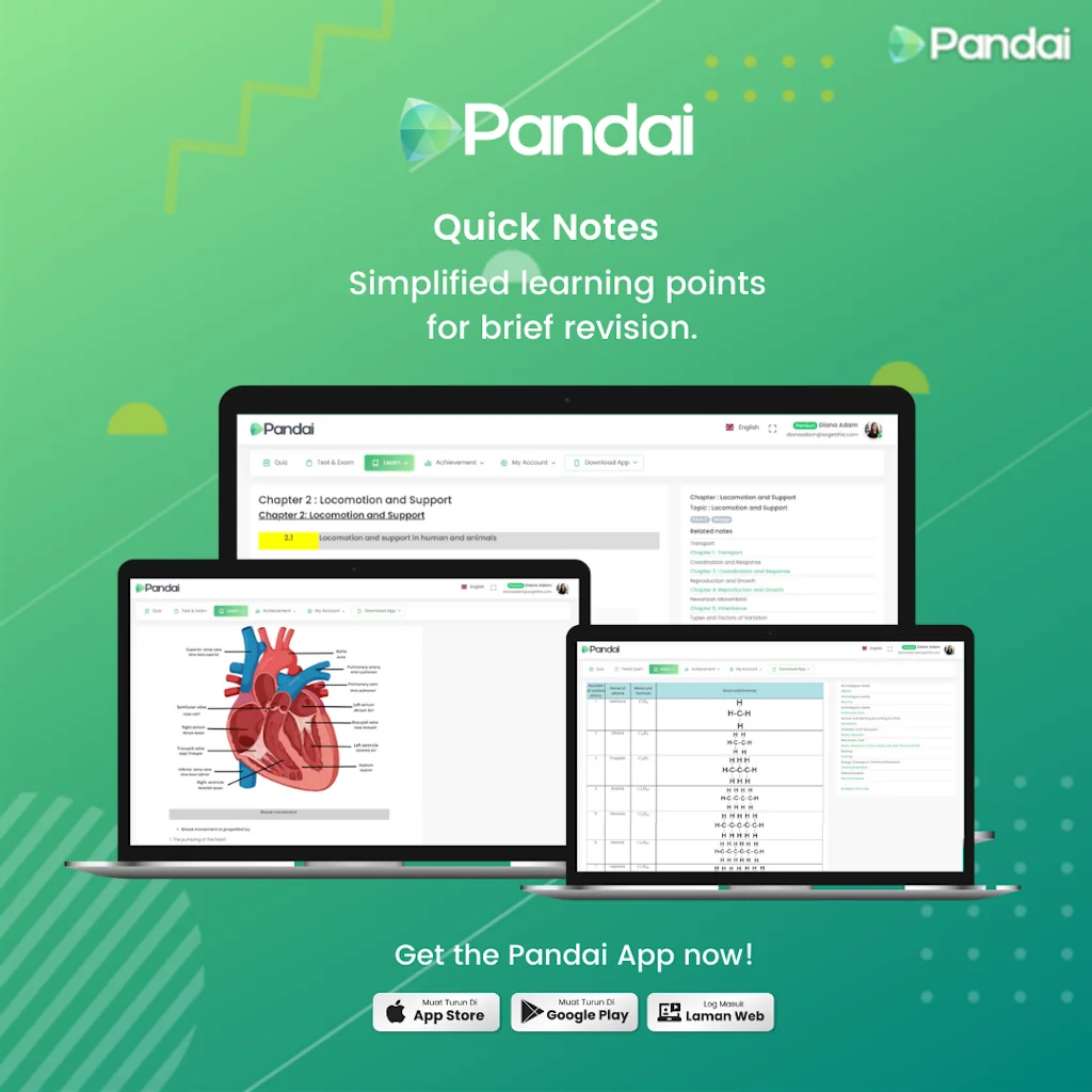 Pandai screenshot 9 of 12