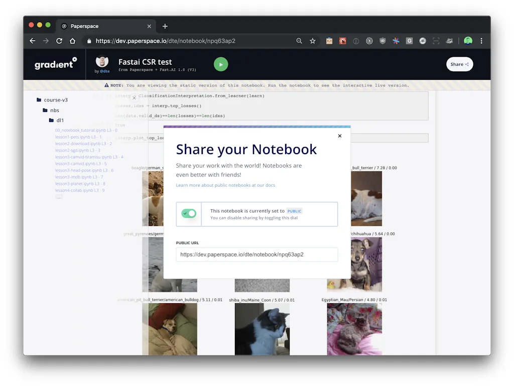 Paperspace screenshot 4 of 6