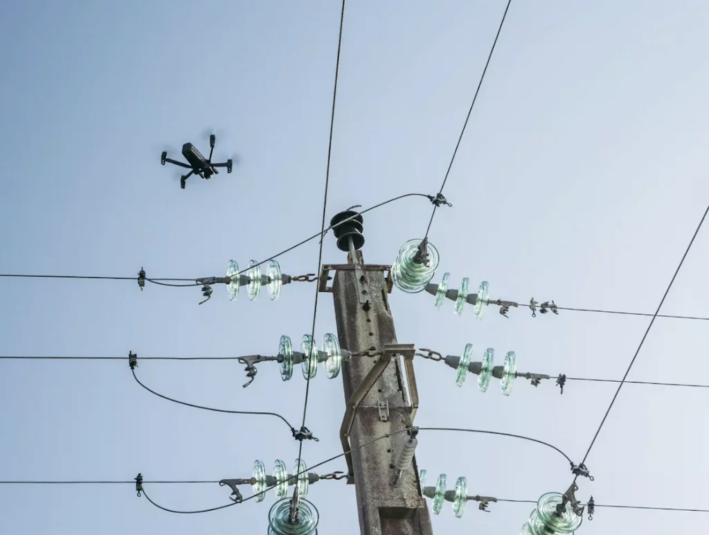 Parrot screenshot 1 of 6