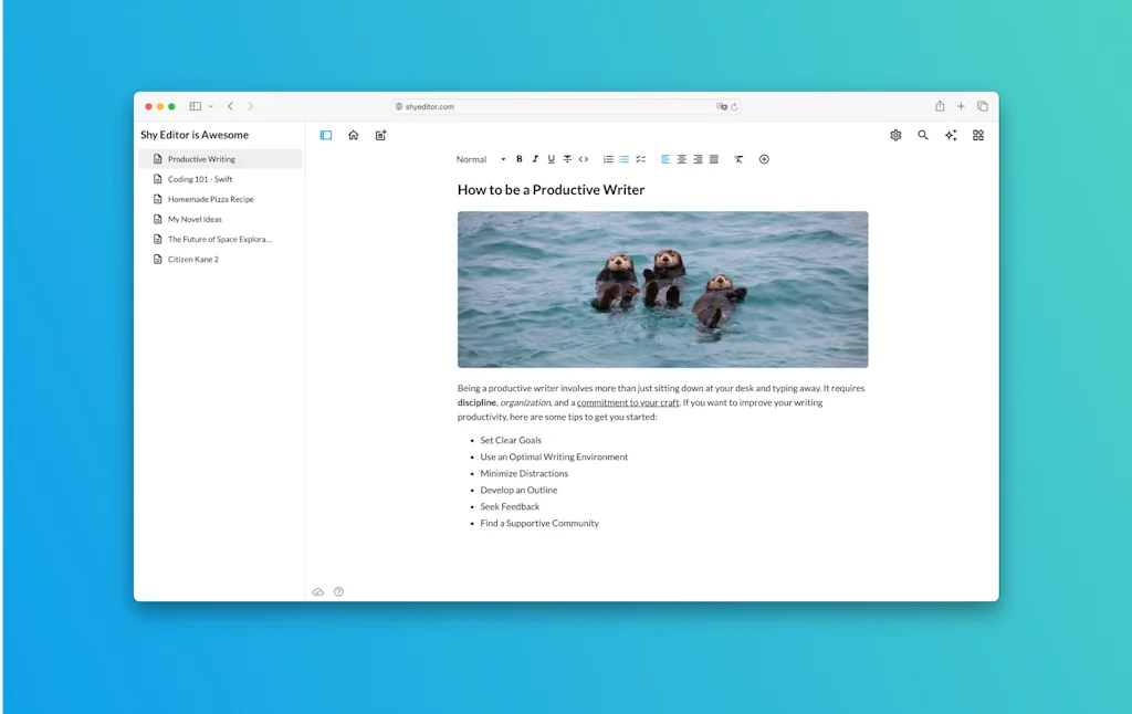 Shy Editor screenshot 1 of 4