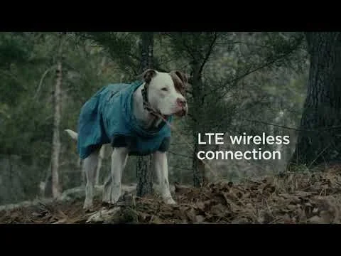 Petcube🐾 screenshot 1 of 8