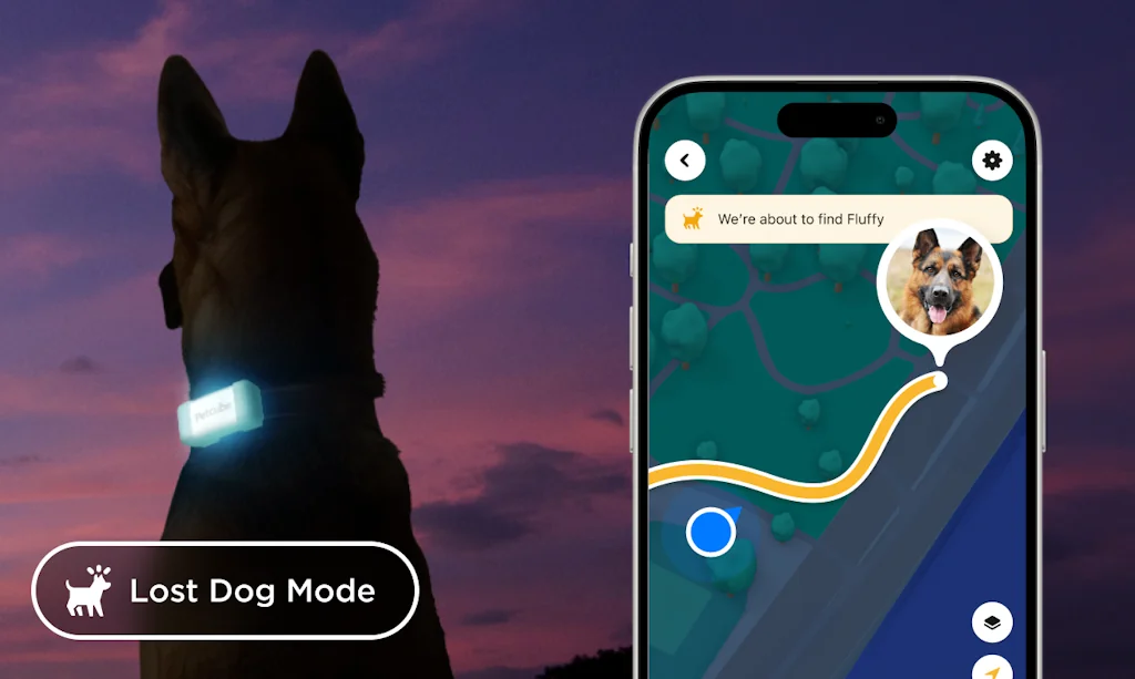 Petcube🐾 screenshot 4 of 8