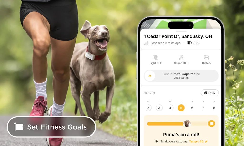 Petcube🐾 screenshot 6 of 8