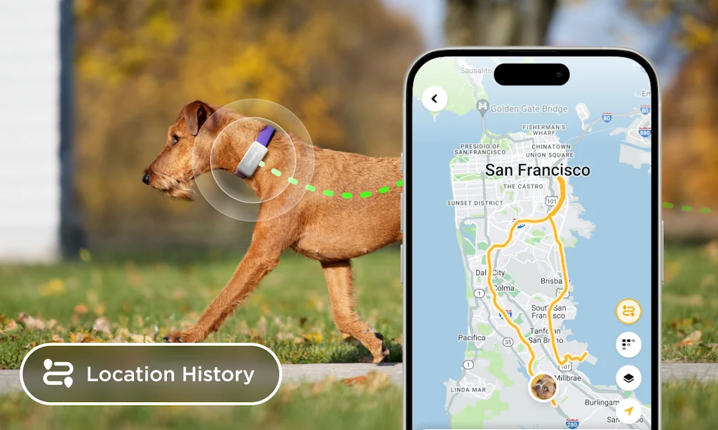 Petcube🐾 screenshot 7 of 8
