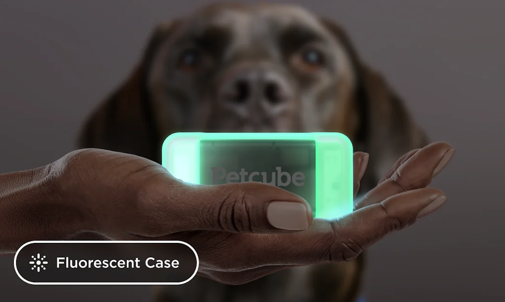 Petcube🐾 screenshot 8 of 8