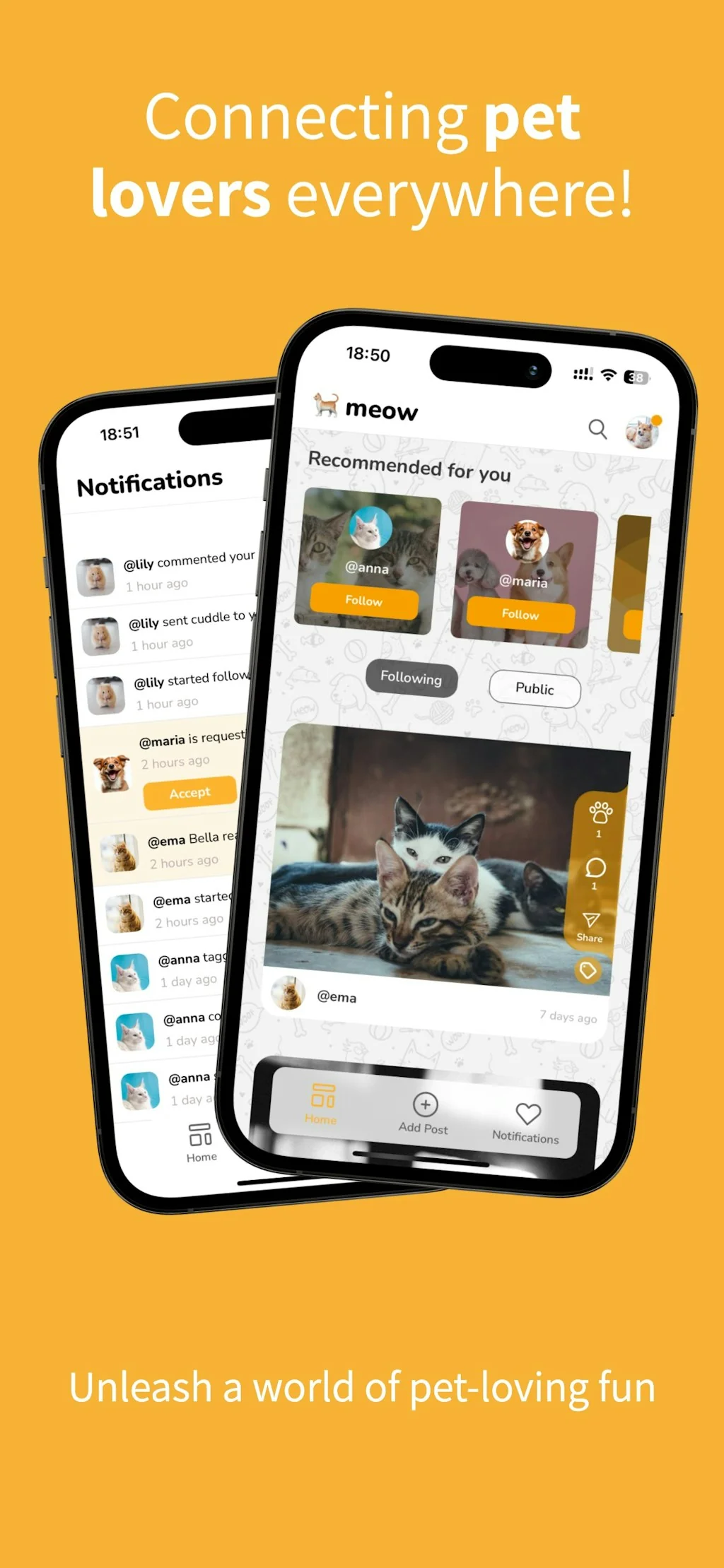 Petigo screenshot 1 of 4