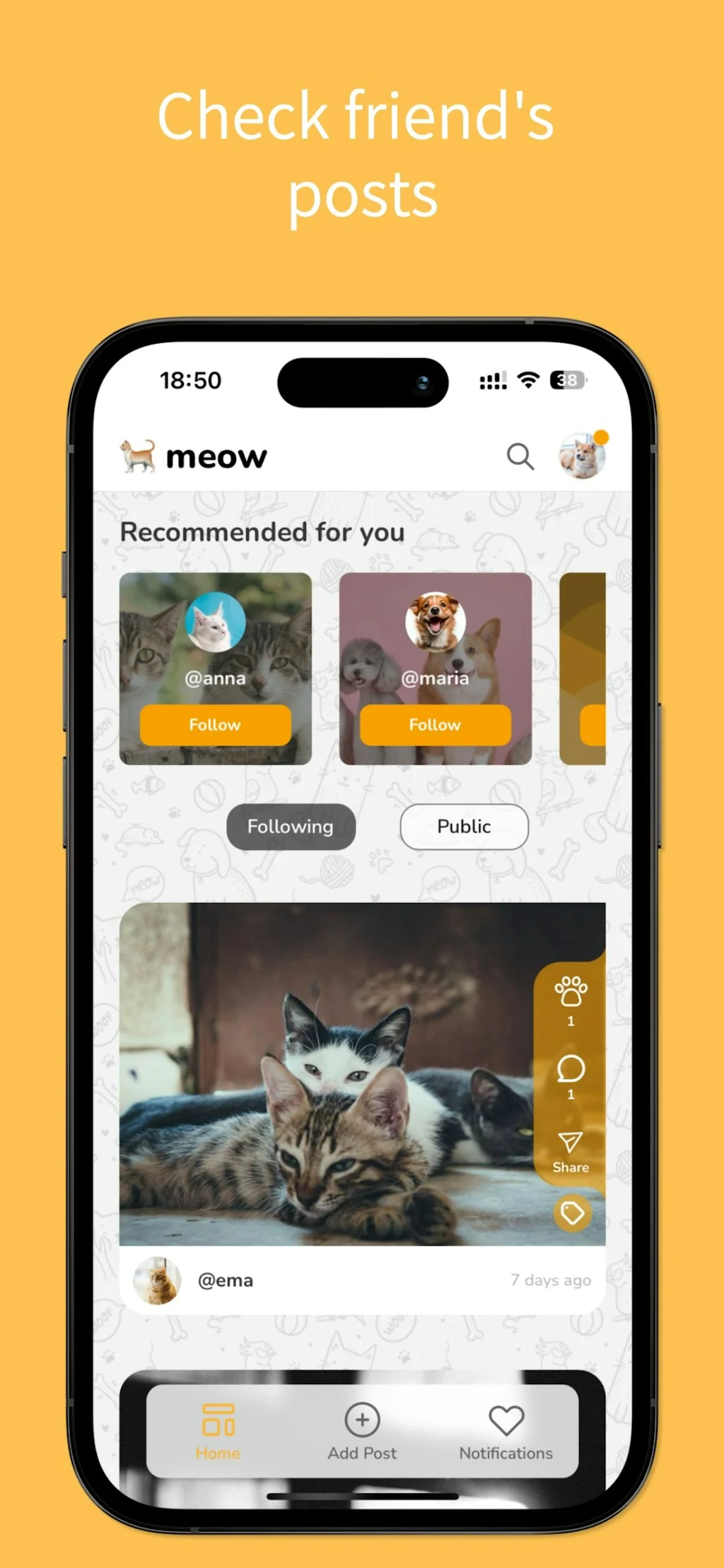 Petigo screenshot 2 of 4