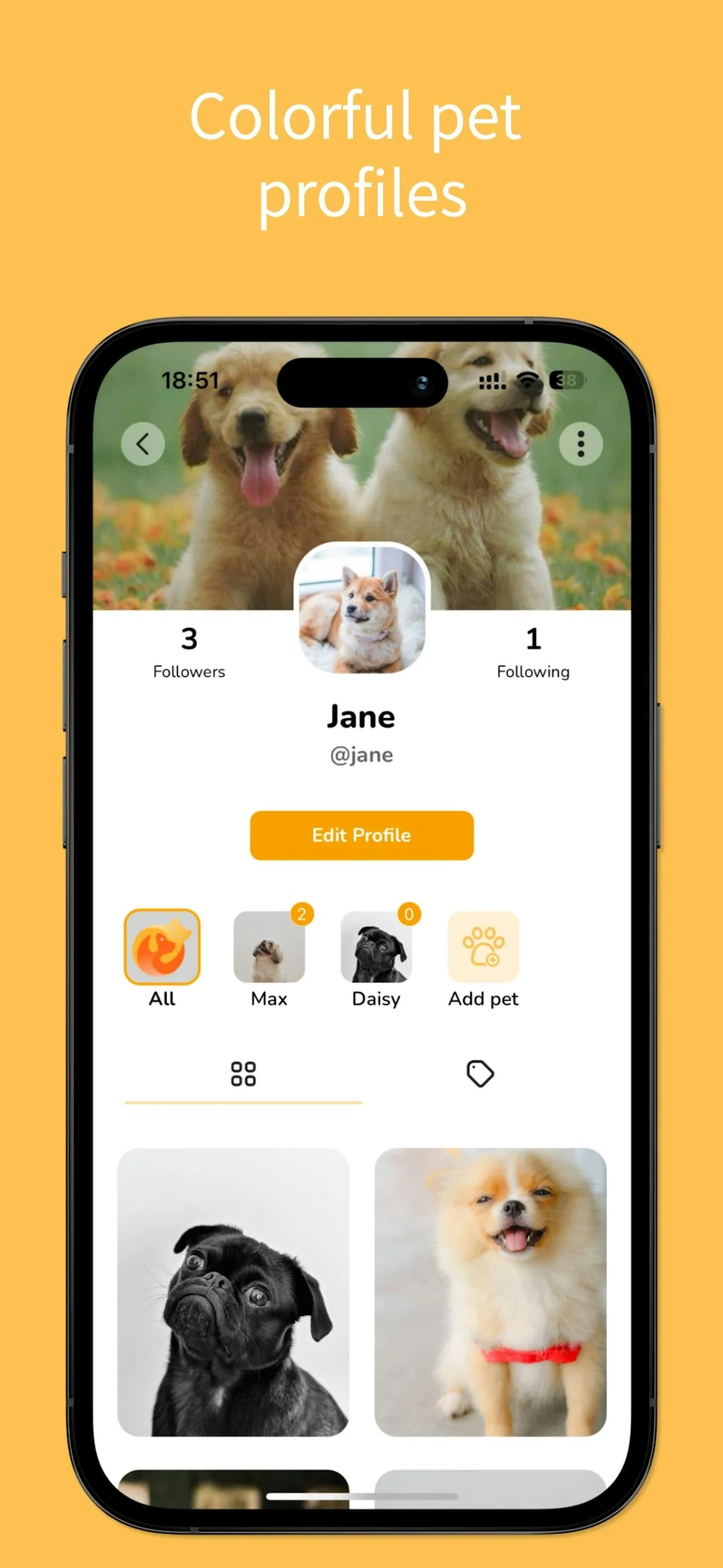 Petigo screenshot 3 of 4