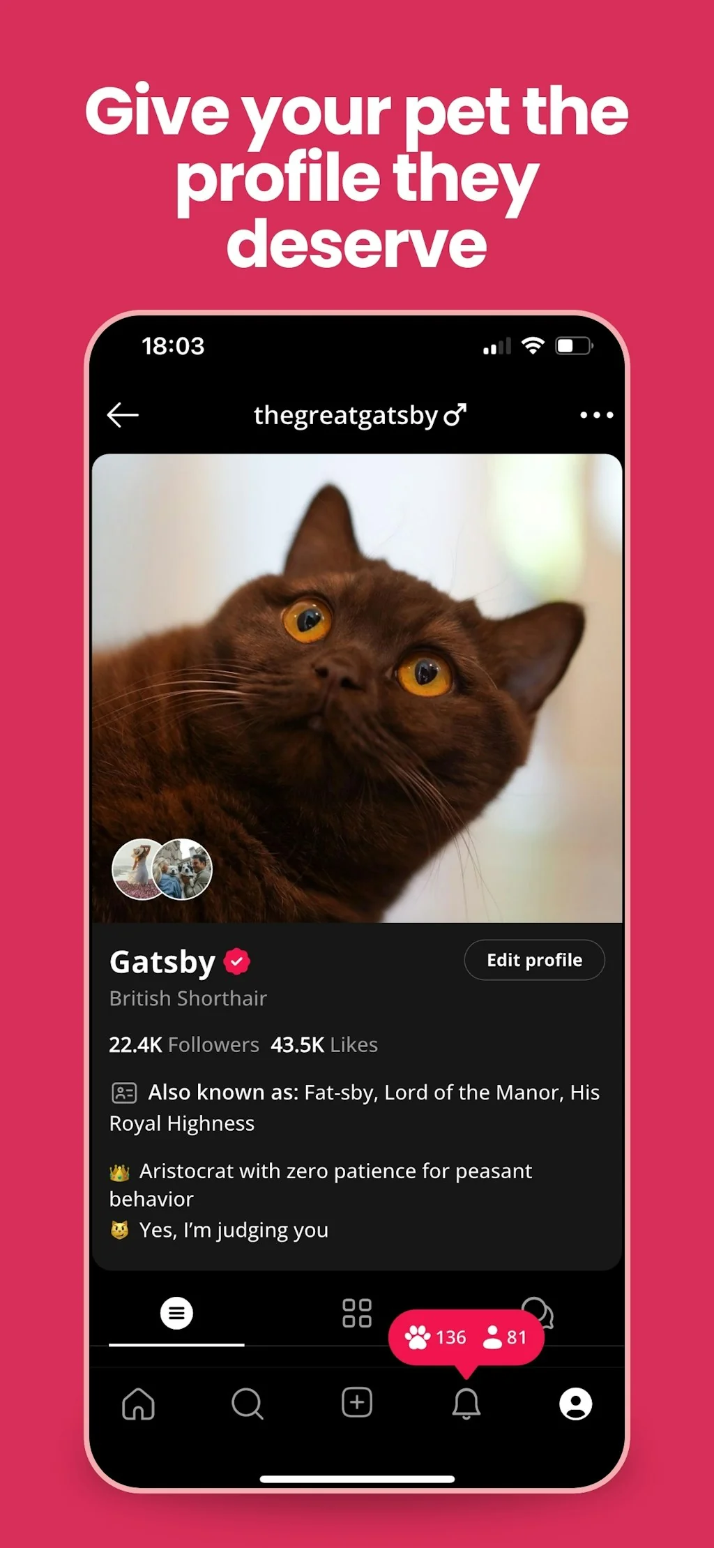 Petme screenshot 2 of 3