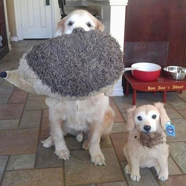 Petsies screenshot 4 of 12