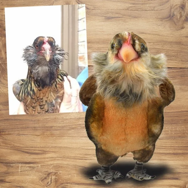 Petsies screenshot 5 of 12